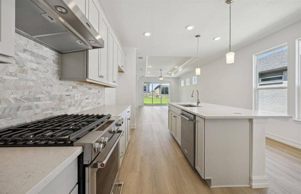 205 Snowbird Way, McKinney, TX 75071 *Floorplan representation, not actual home - Abundant cabinet space in kitchen
