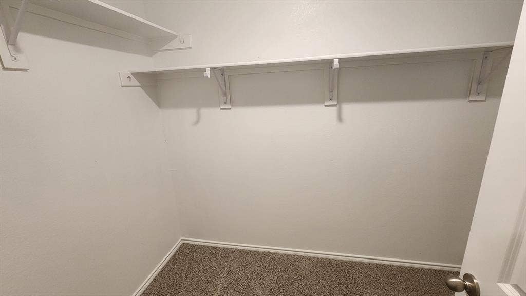 Built-in shelving and hanging rods over neutral carpeting
