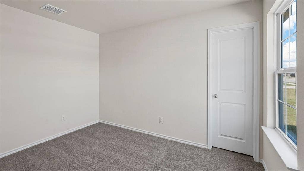 Neutral-toned interior space featuring plush carpeting, a single-panel interior door with brushed metal hardware, and a window with a fixed grid pattern
