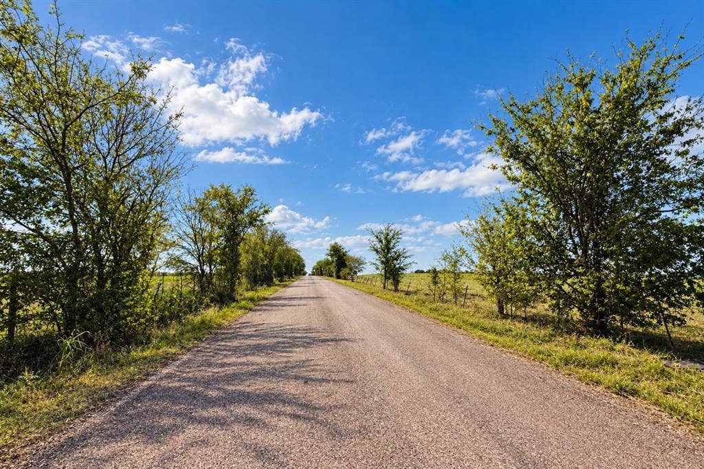 Lot 1 Morgan Road, Italy, TX 76651 Paved access road lined with mature trees and expansive open acreage