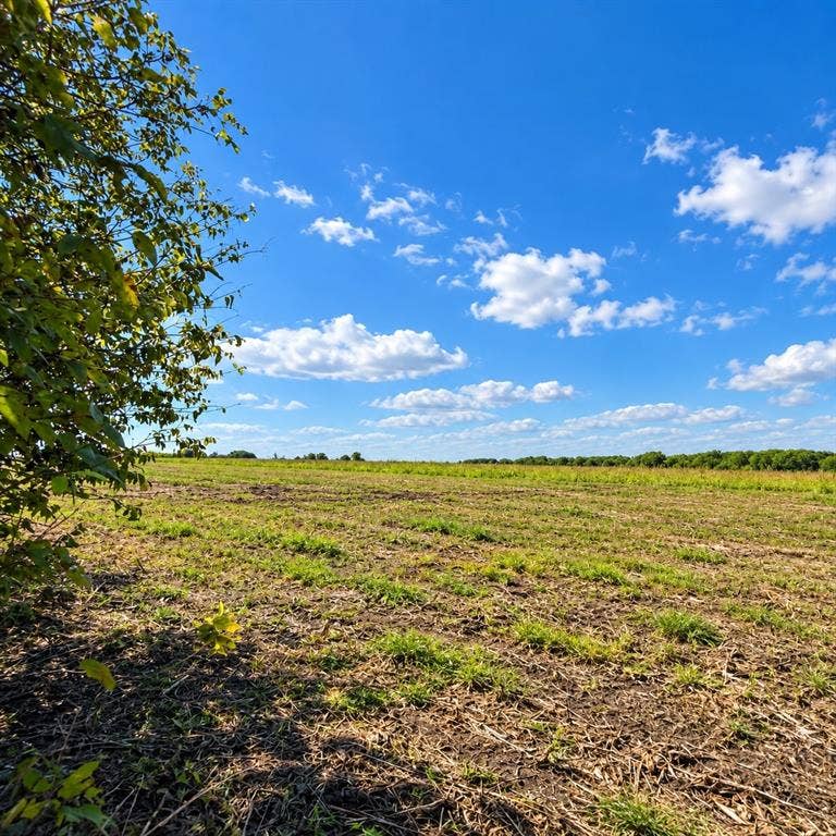 Lot 1 Morgan Road, Italy, TX 76651 Expansive open acreage featuring cleared level land, mature tree lines, and horizon-spanning sky