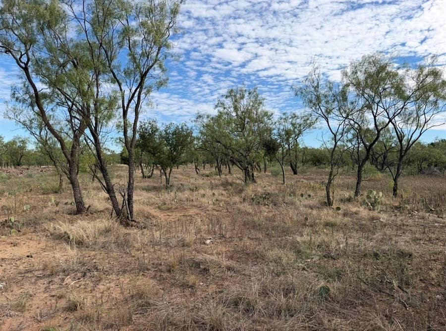 Property photo for 14650 Fawn Drive, San Angelo, TX