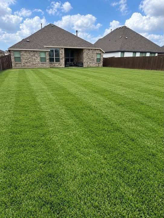 301 Delaford Drive, Forney, TX 75126 Rear view showing the covered patio and the expansive, freshly striped lawn.