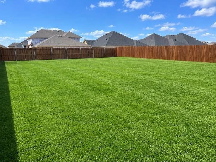 301 Delaford Drive, Forney, TX 75126 Did you see the yard? A massive, fully fenced backyard with lush lawn and plenty of room for a future pool.