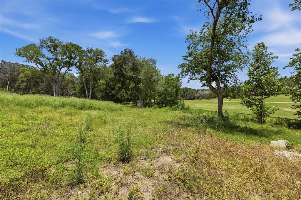 Expansive parcel of land featuring mature trees and established greenery