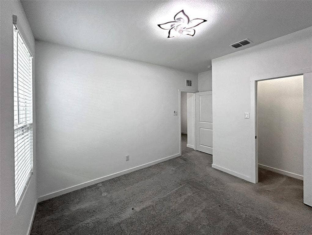 2504 Clyde Road, Celina, TX 75009 Neutral-toned interior space featuring neutral carpeting, a dual-pane window with installed blinds, a decorative petal-style ceiling light fixture, and a built-in walk-in closet