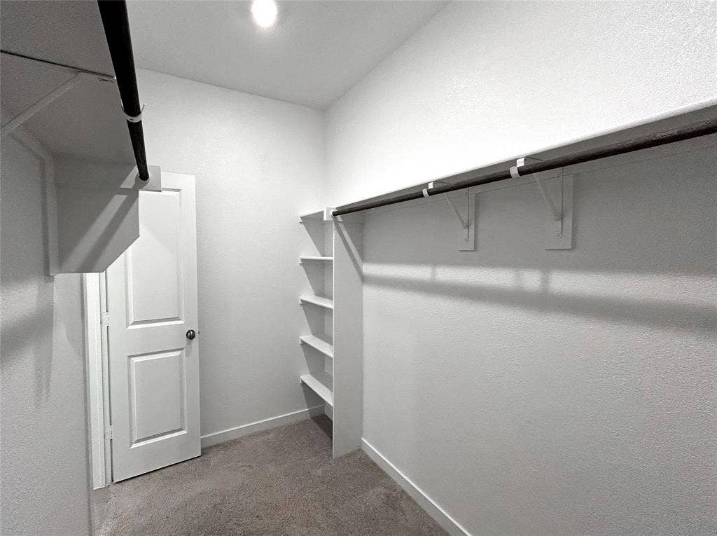 2504 Clyde Road, Celina, TX 75009 Walk-in closet featuring carpeted flooring, built-in shelving, mounted hanging rods, and a solid-core interior door