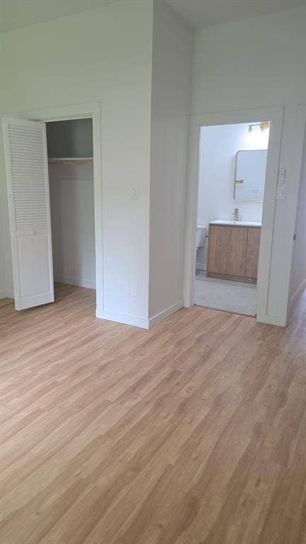 4643 Luzon Street, Dallas, TX 75216 Wood-finish flooring, louvered closet door, vanity with wood-finish cabinetry, rectangular mirror, and light-toned hard-surface flooring