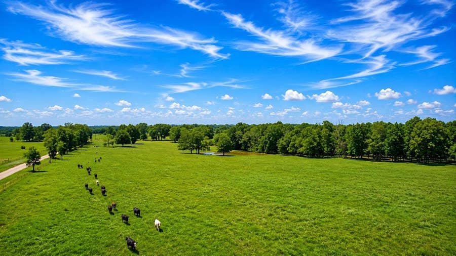 Property photo for TBD County Road 44700, Blossom, TX