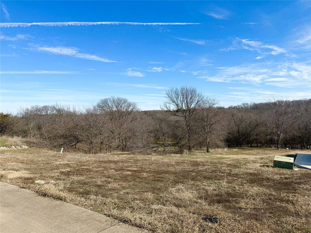 1224 Lilac Lane, Grand Prairie, TX 75104 1224 Lilac Lane, Grand Prairie, TX 75104