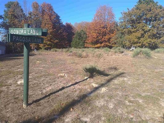 Property photo for TBD Pagosa Lane, Holly Lake Ranch, TX