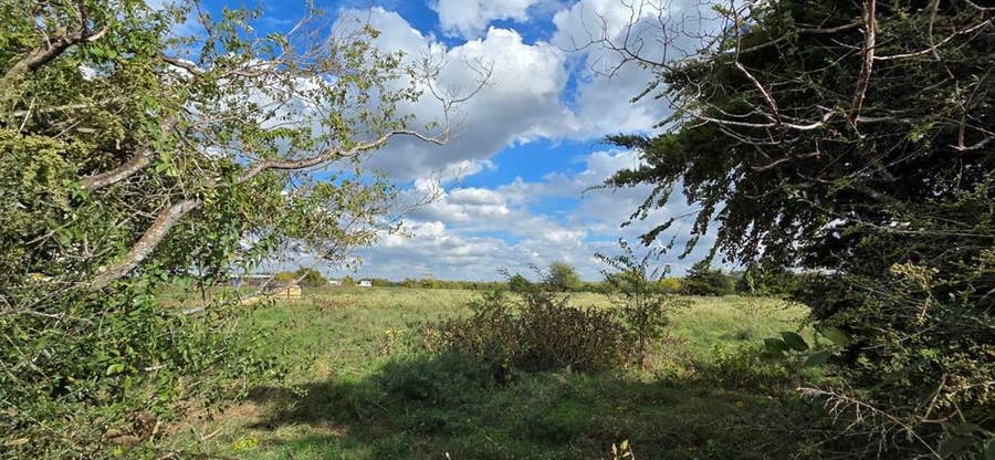 Property photo for 0000 Noland Road, Whitesboro, TX