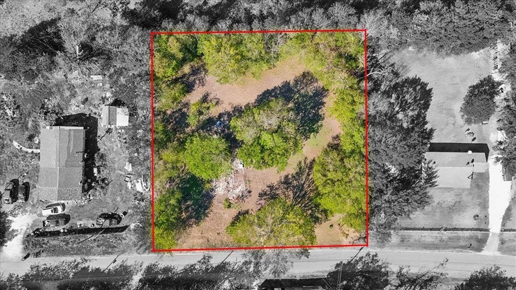 Rectangular parcel of land featuring mature trees and established natural vegetation