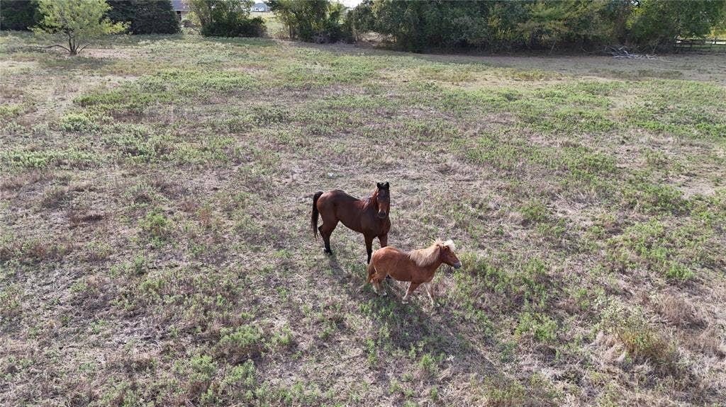2512 TBD County Rd, Royse City, TX 75189