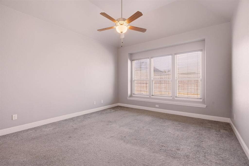 605 Brook Drive, Anna, TX 75409 oversized primary w loads of natural light