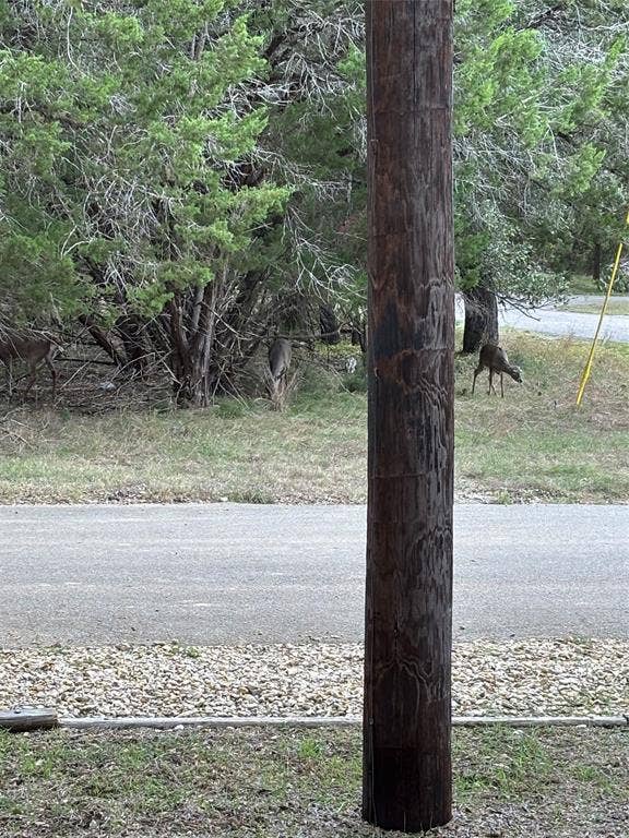 1 Mulberry Court, Morgans Point Resort, TX 76513 Frontyard view of wildlife
