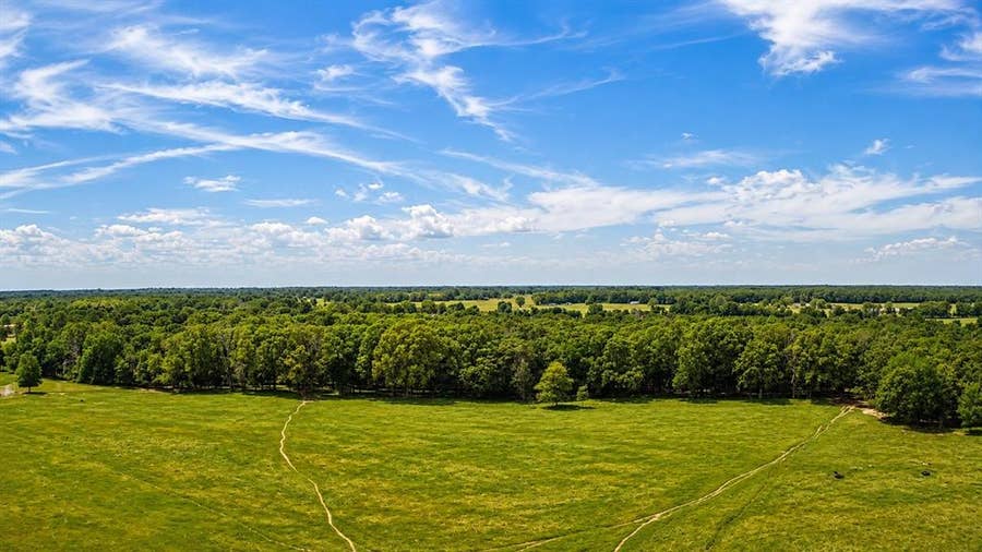 Property photo for TBD CR 44700, Blossom, TX