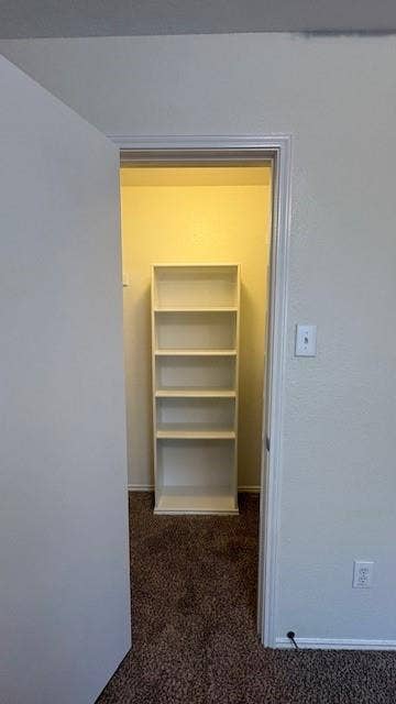 1023 Jamie Drive, Grand Prairie, TX 75052 Bedroom #2 walk-in closet!