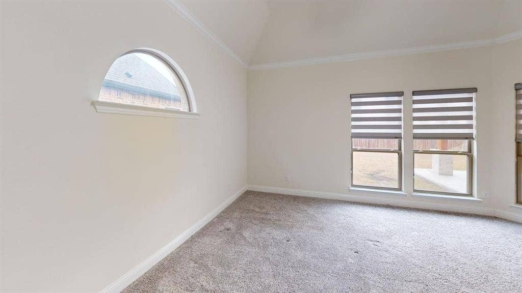 14518 Shady Grove Lane, Frisco, TX 75035 Vaulted ceiling, arched window, wall-to-wall carpeting, and multi-paned windows
