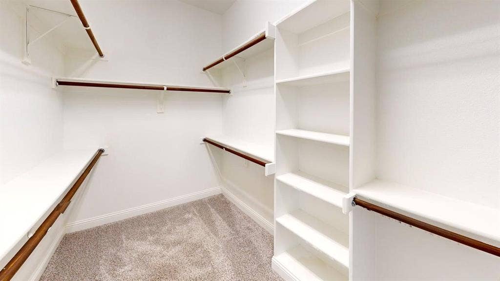 14518 Shady Grove Lane, Frisco, TX 75035 Walk-in closet featuring white built-in shelving, integrated tiered clothing rods, and wall-to-wall carpeting