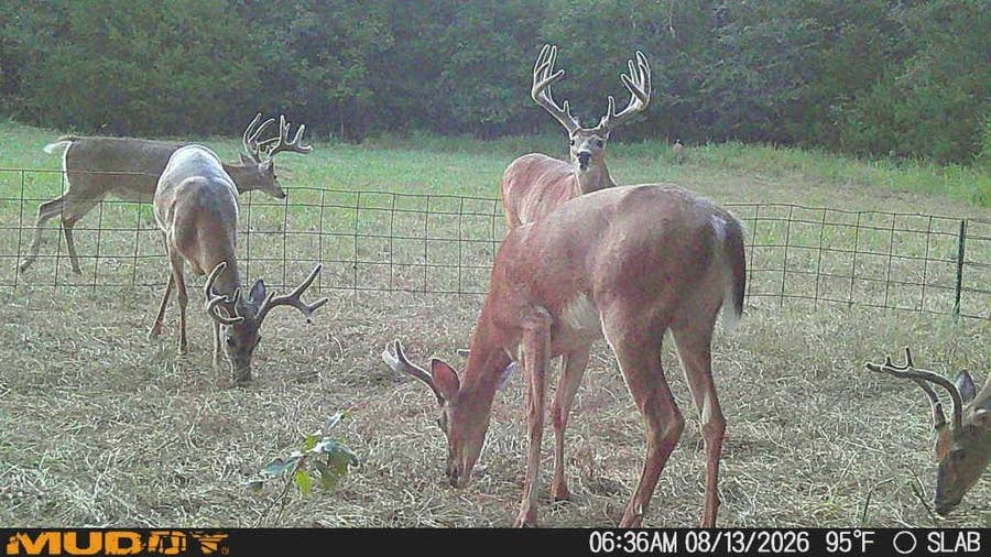 Property photo for 0 Slab Rd, Wapanucka, OK