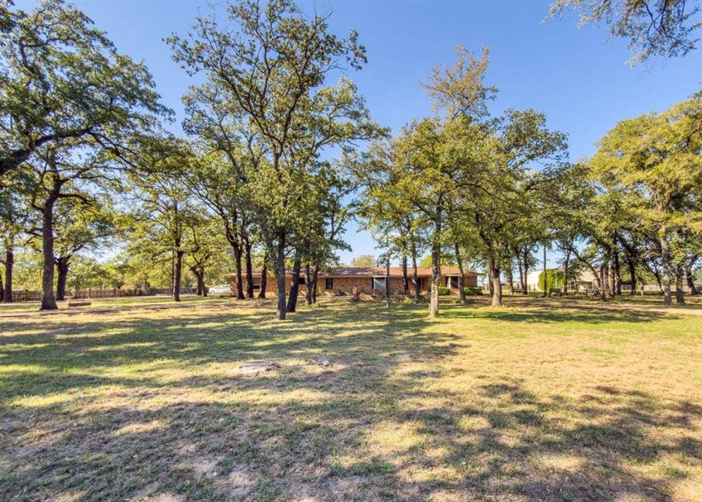 Expansive lot featuring mature trees, natural landscape, and a single-story brick exterior residence