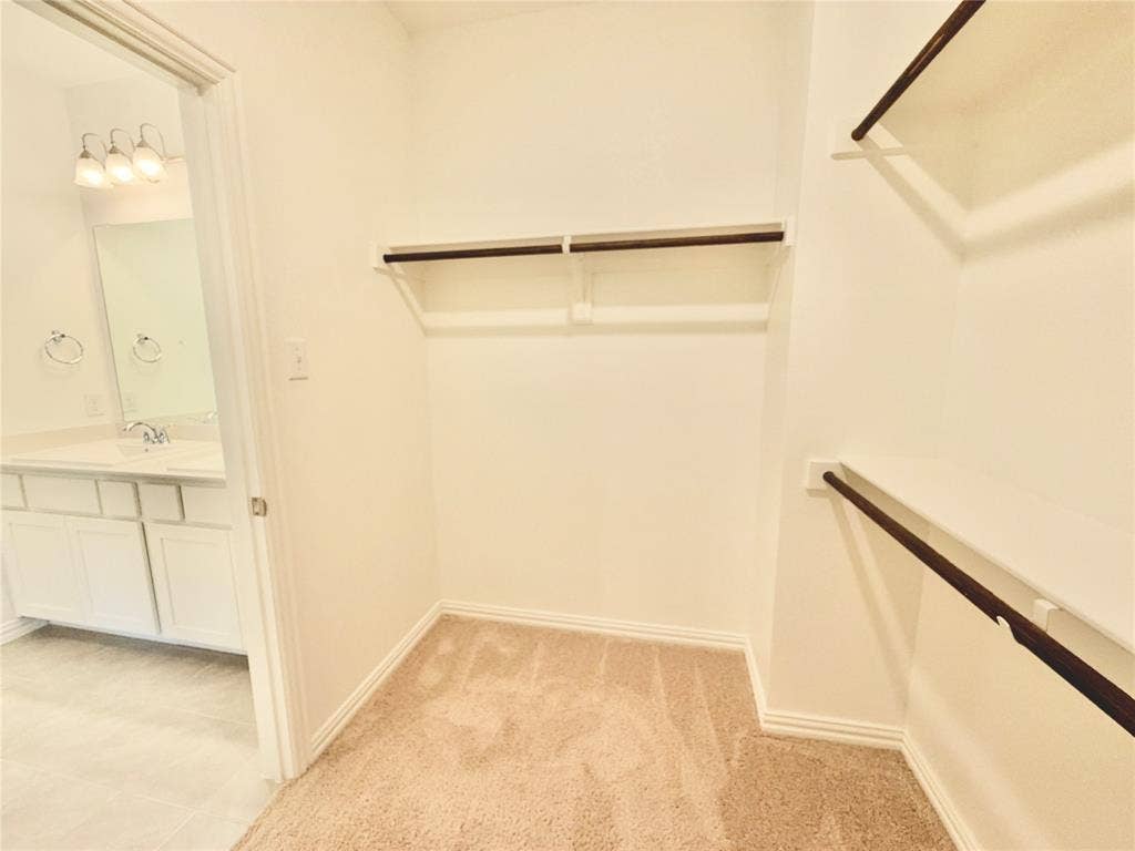Walk-in storage featuring tiered wall-mounted shelving and integrated hanging rods, carpeted flooring, and neutral wall finishes