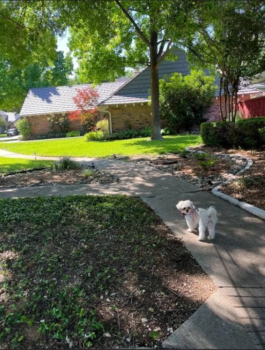 2909 Province Place, Plano, TX 75075 Walking Trails