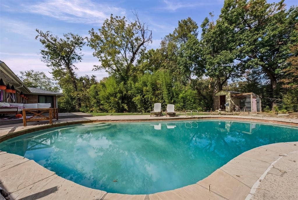 605 Ranier Circle, Garland, TX 75041 In-ground swimming pool featuring a concrete coping border, concrete patio, and mature tree canopy