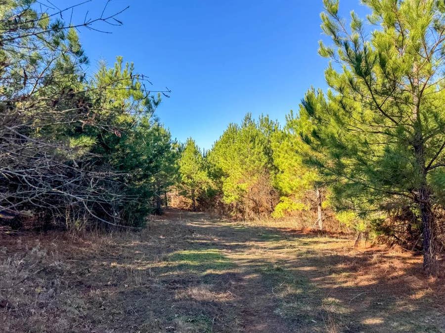 Property photo for 0000 County Road 1637, Linden, TX