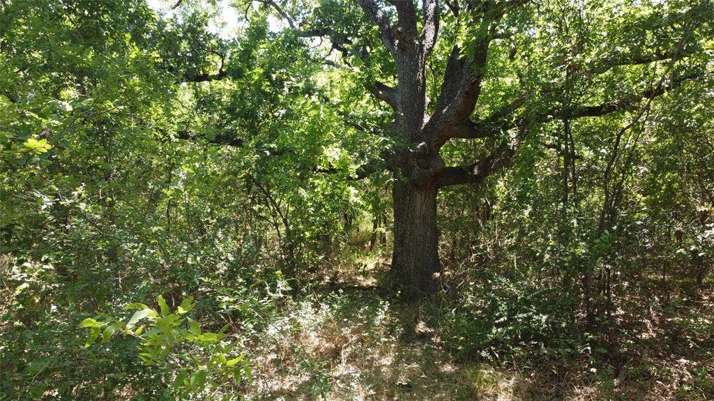 4189 Willow Oak Bend, Royse City, TX 75189 4189 Willow Oak Bend, Royse City, TX 75189