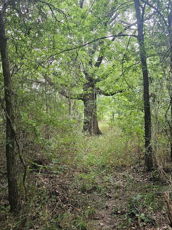 4189 Willow Oak Bend, Royse City, TX 75189 4189 Willow Oak Bend, Royse City, TX 75189