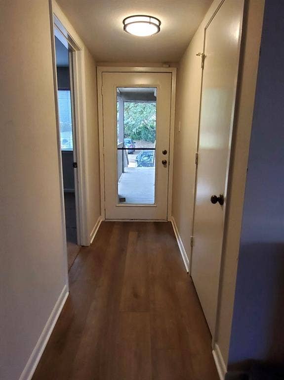 Entrance featuring wood-finish flooring, a full-lite entry door, a ceiling-mounted flush light fixture, and a built-in closet with a swing door