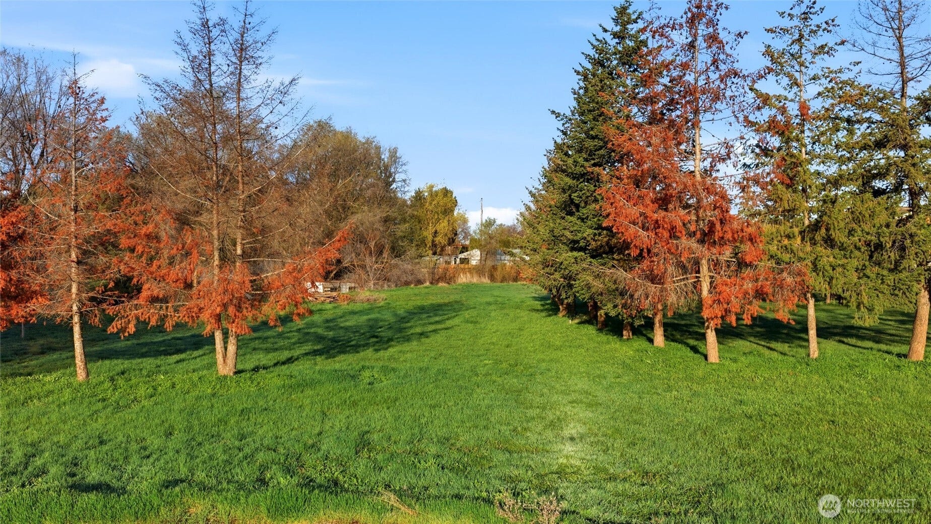 1420 S College Avenue, College Place, WA 99324