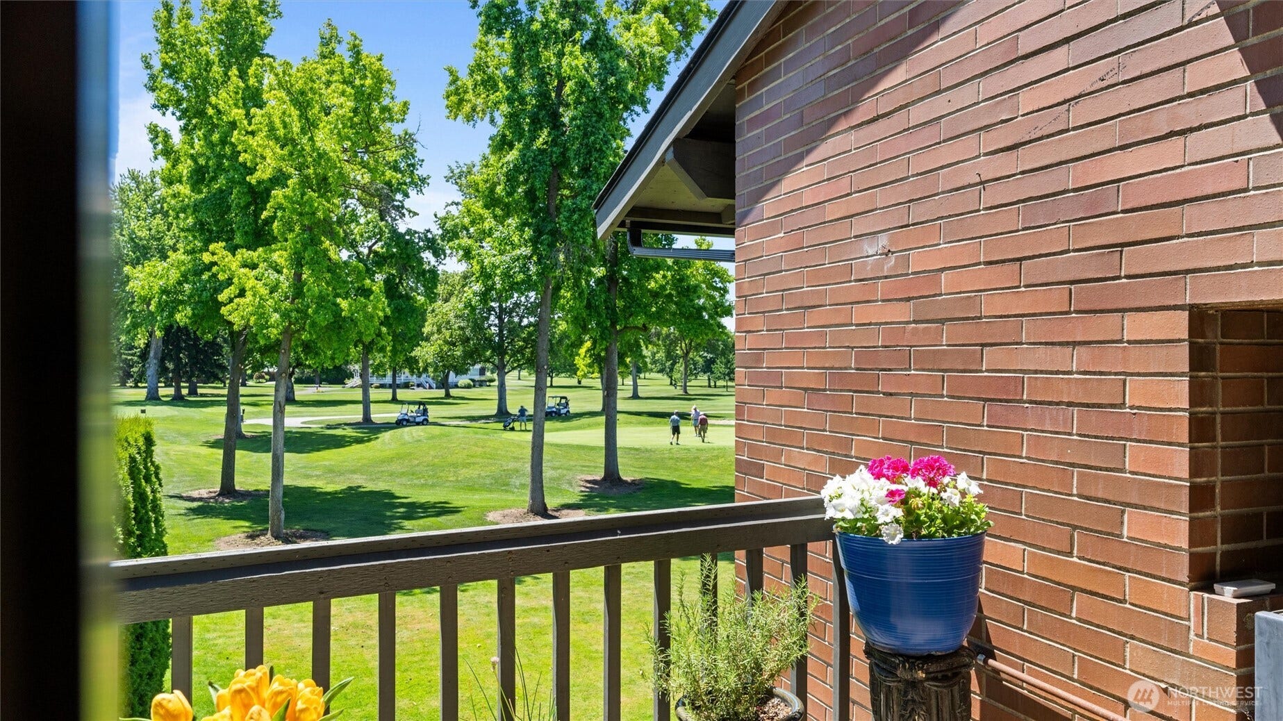 Patio 2