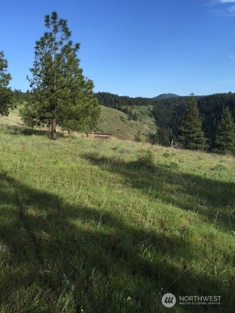 Property photo for 0 bare land, Waitsburg, WA