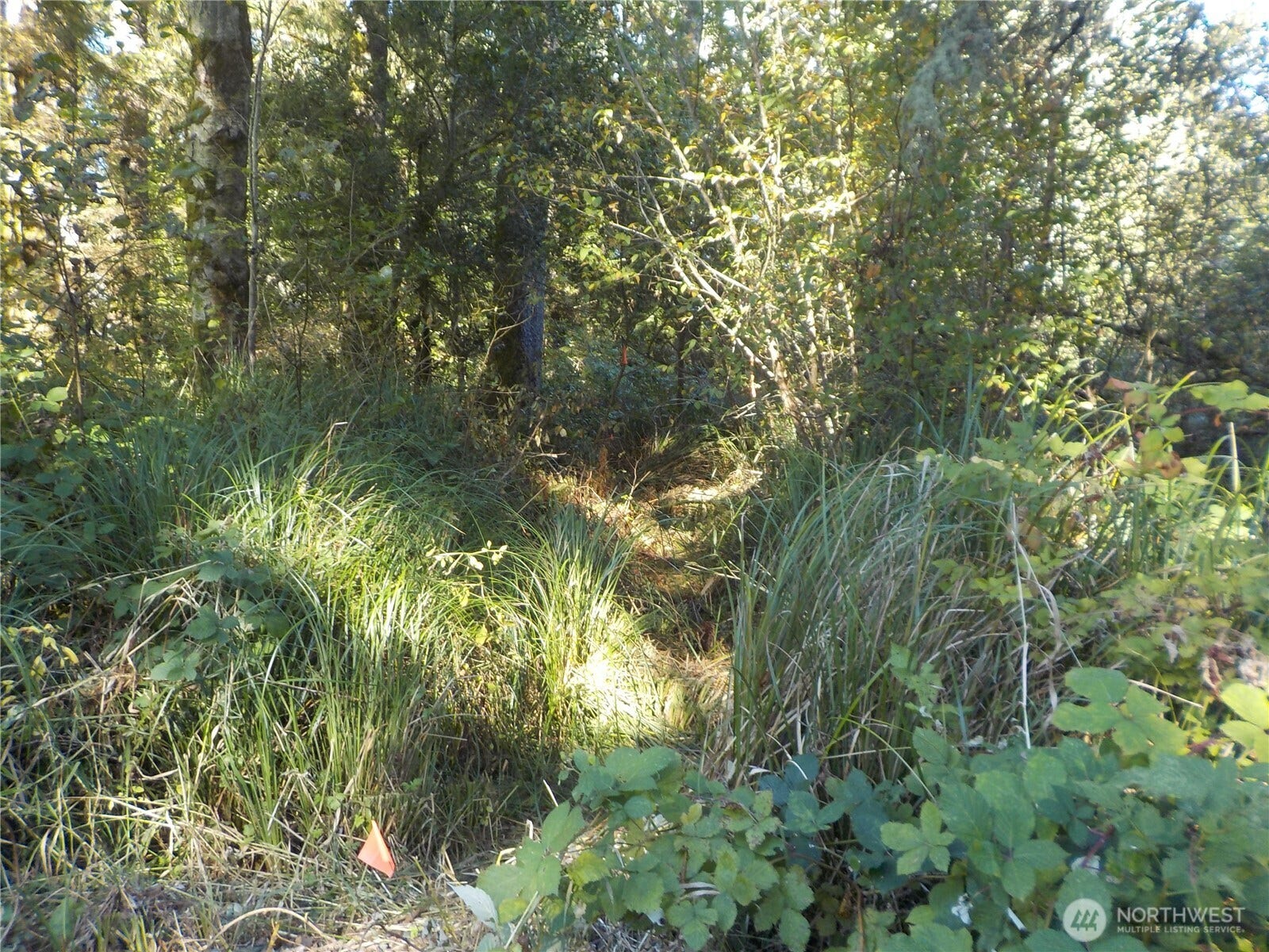 TRAIL STARTS