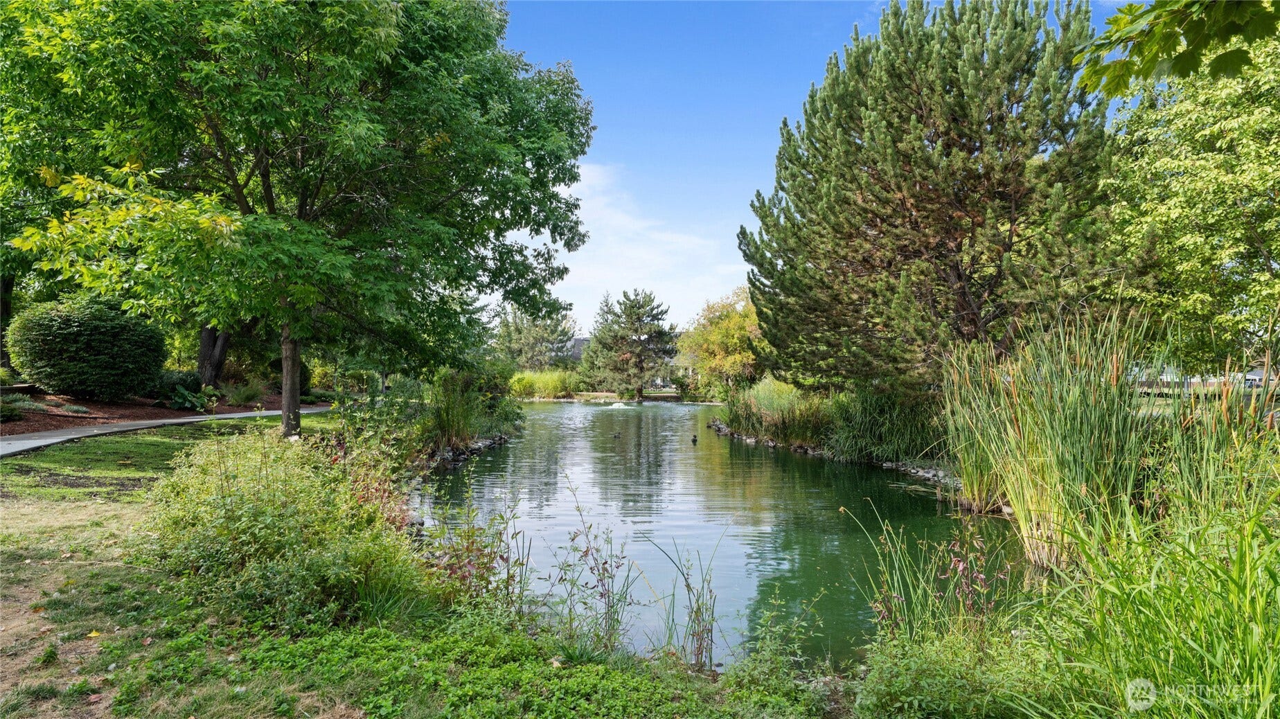 Community pond