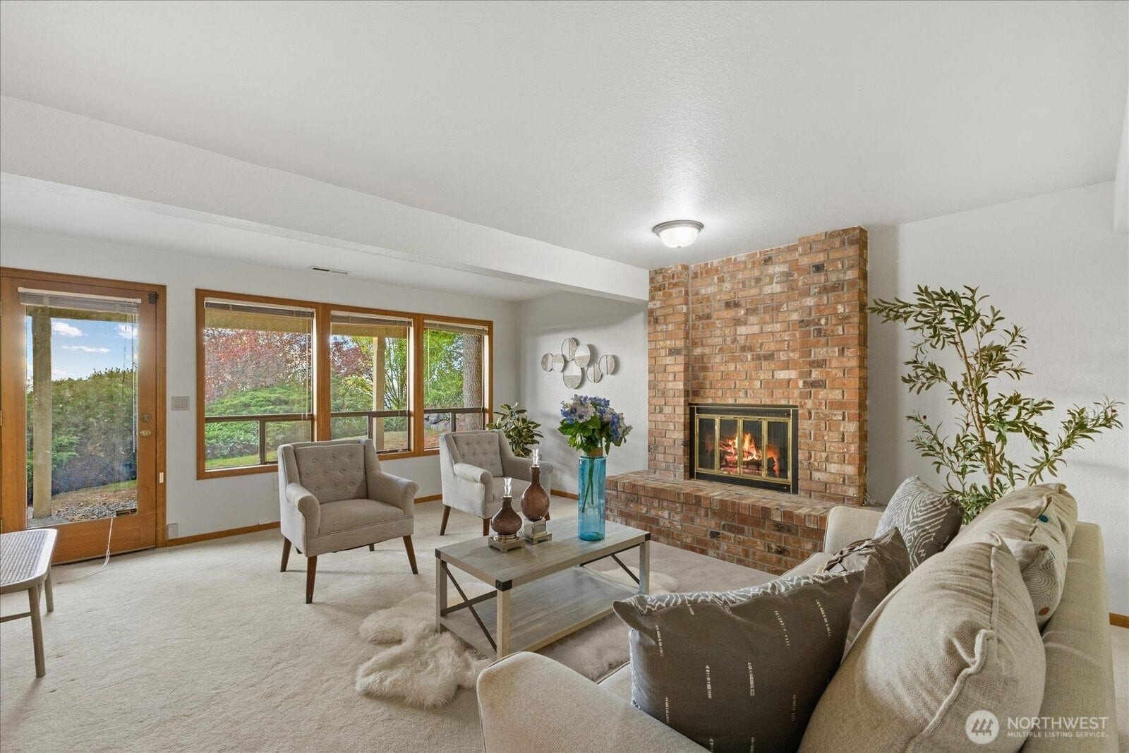 Basement Living Room