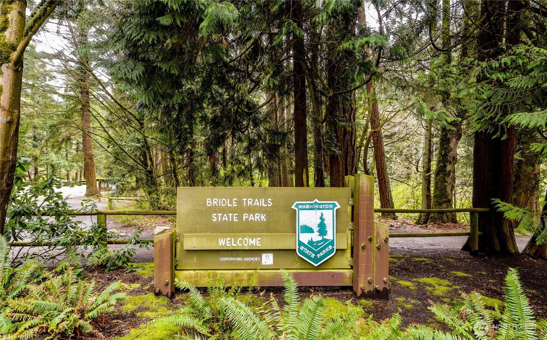 3315 129th Avenue NE, Bellevue, WA 98005