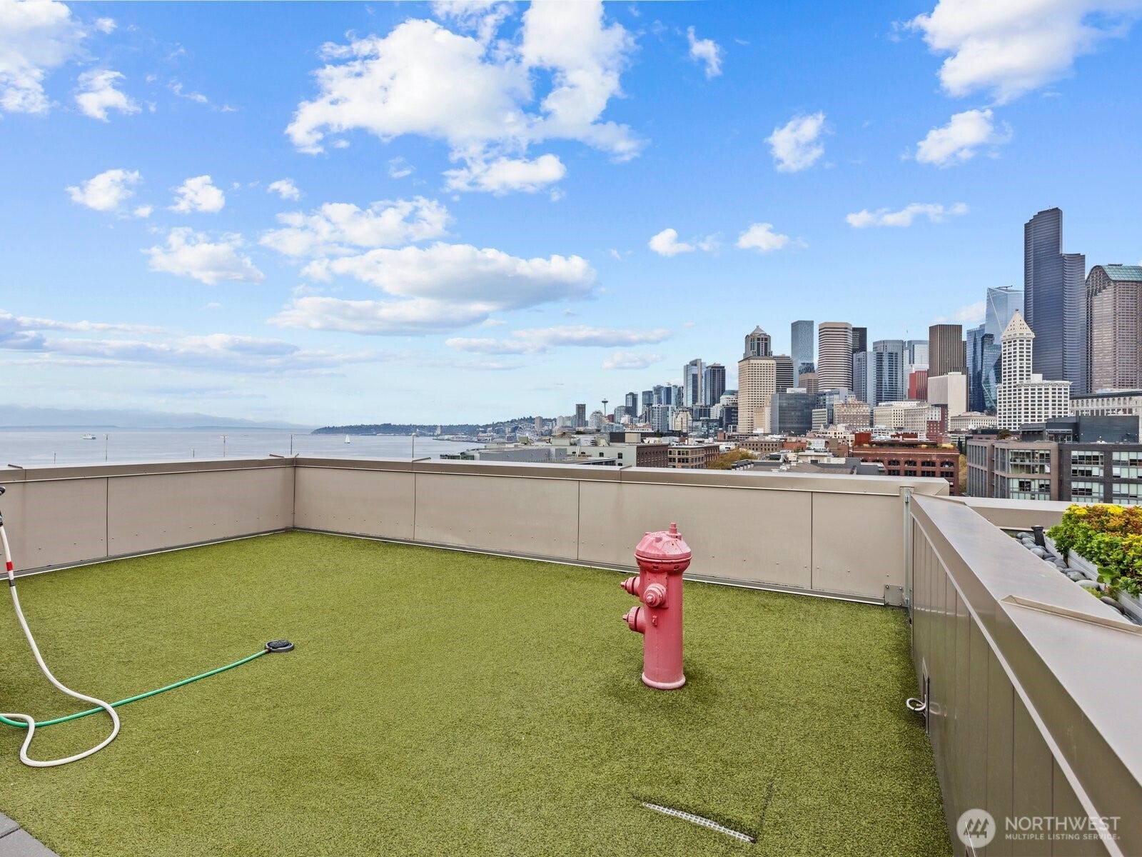 Even Fido gets a view! Taking the dog out doesn't always have to be a chore.