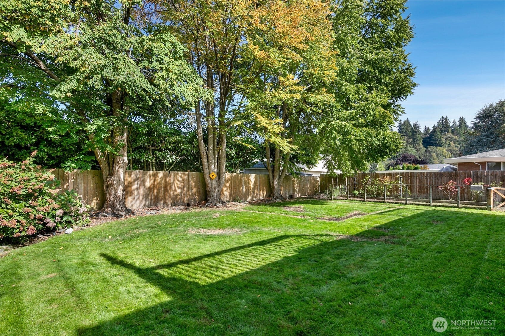 1709 2nd Street NE, Auburn, WA 98002 1709 2nd Street NE, Auburn, WA 98002