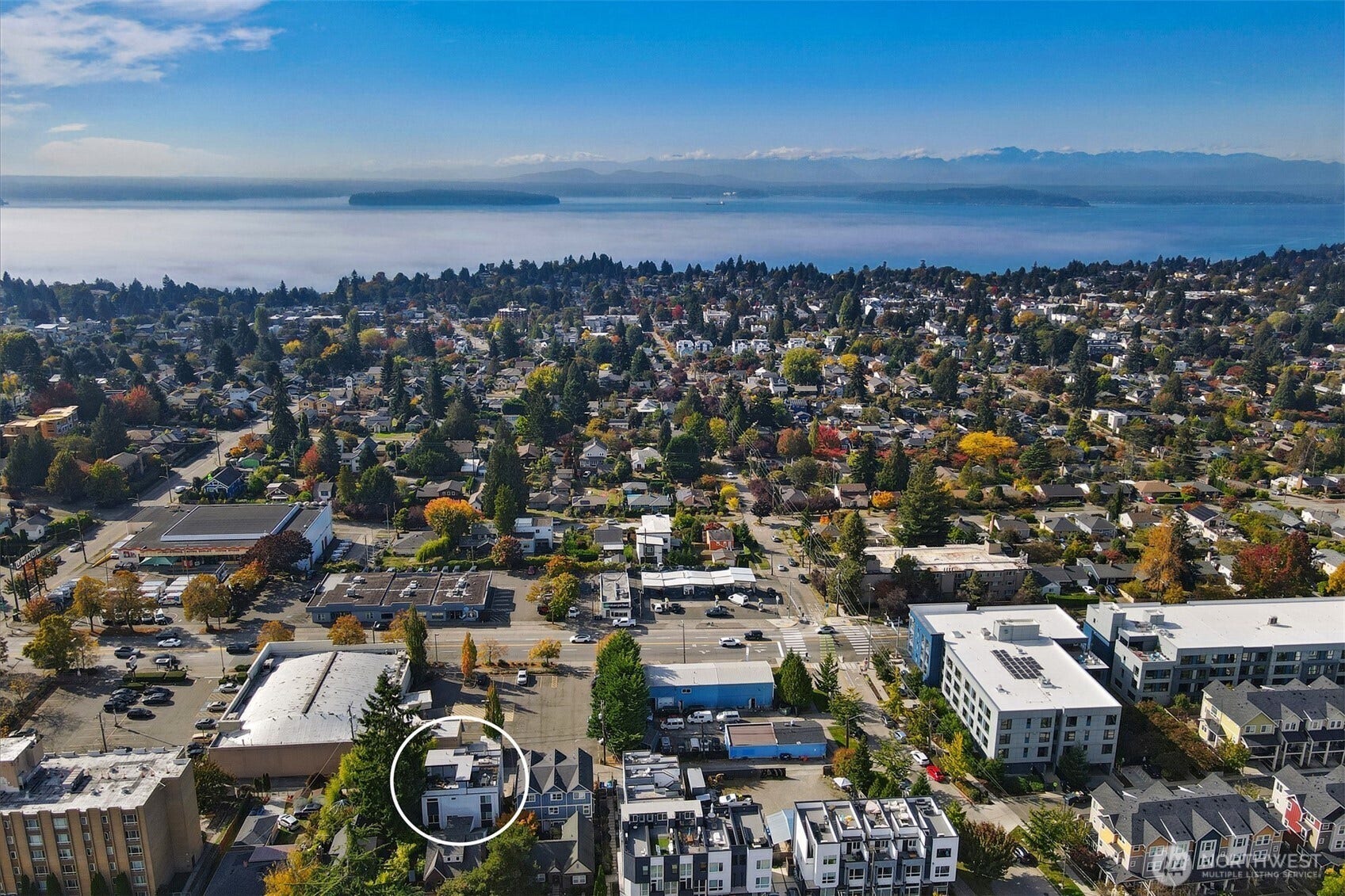 6325 34th Avenue SW, #C, Seattle, WA 98126 Morgan junction 1 mile West
