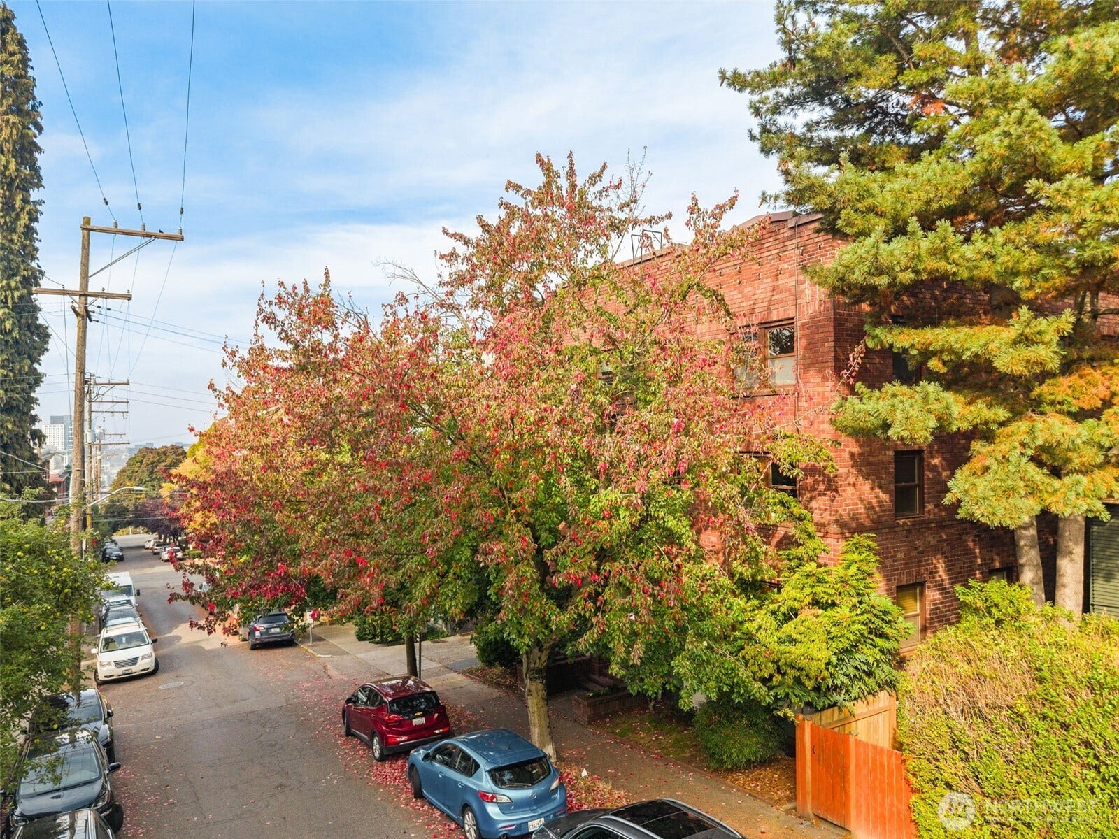 516 E Thomas Street, #102, Seattle, WA 98102 516 E Thomas Street, #102, Seattle, WA 98102