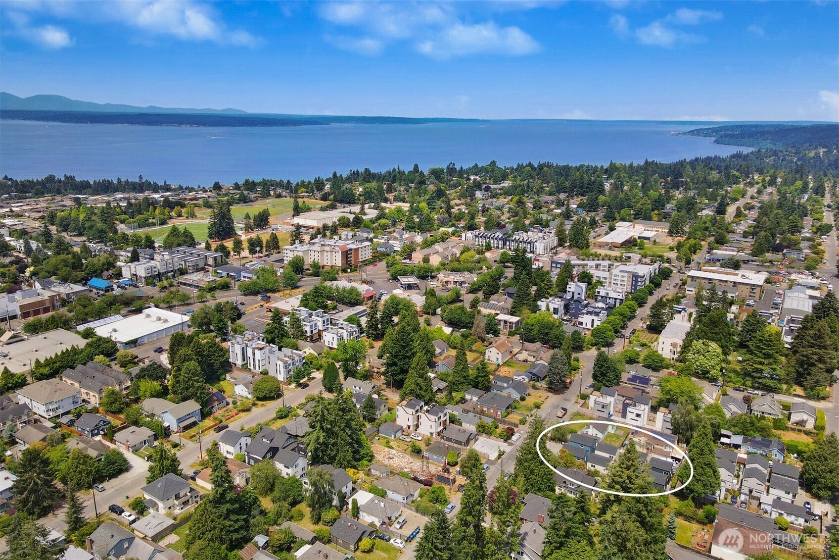 8732 13th Avenue NW, Seattle, WA 98117