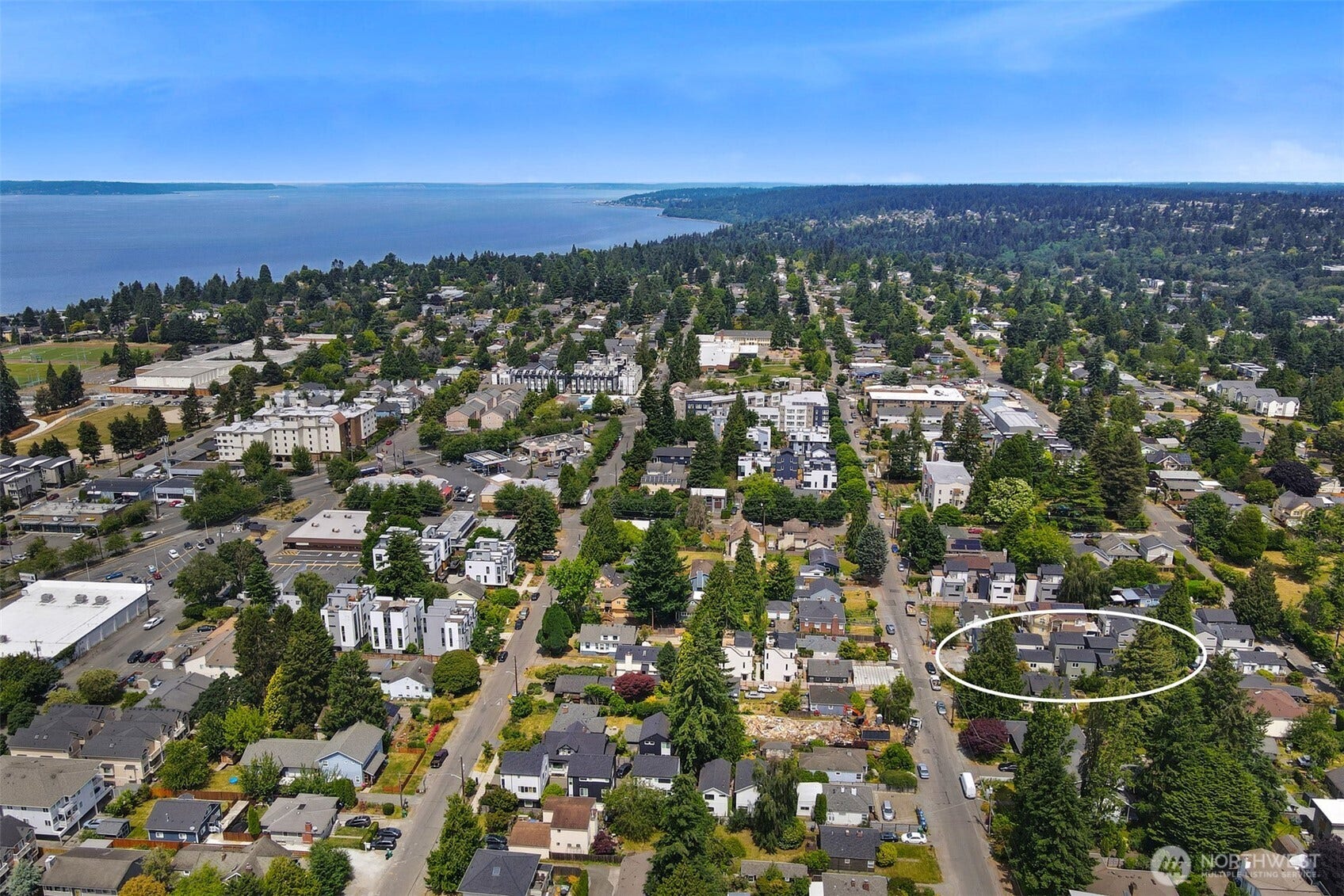 8732 13th Avenue NW, Seattle, WA 98117