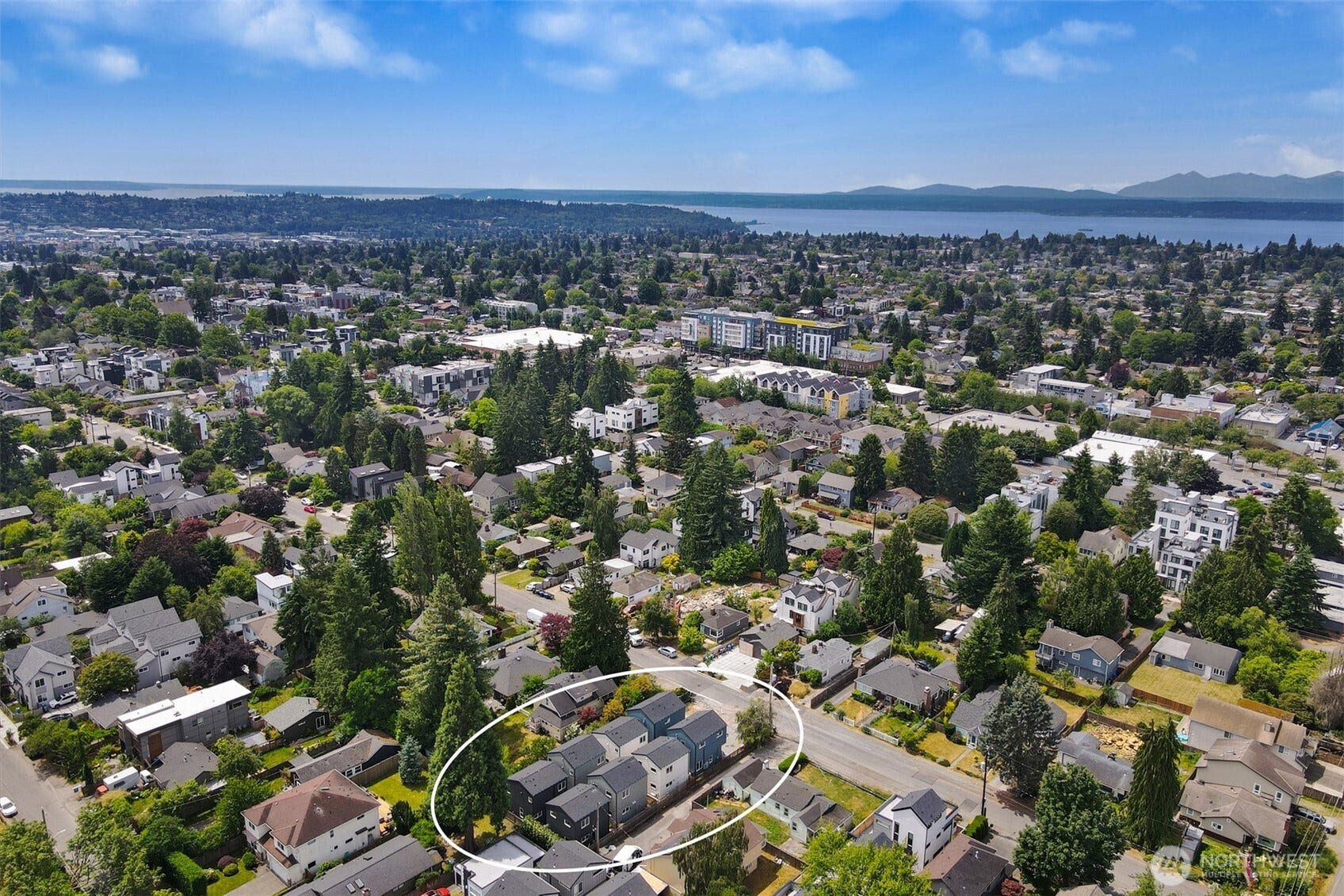 8732 13th Avenue NW, Seattle, WA 98117