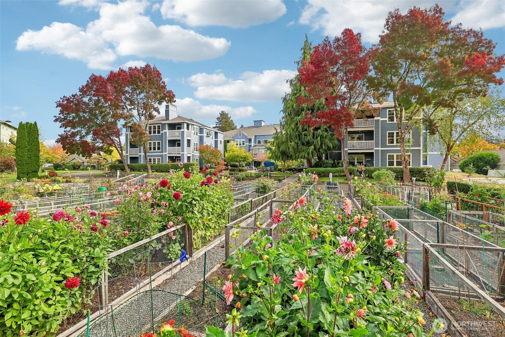 Pea Patch is a resident favorite!