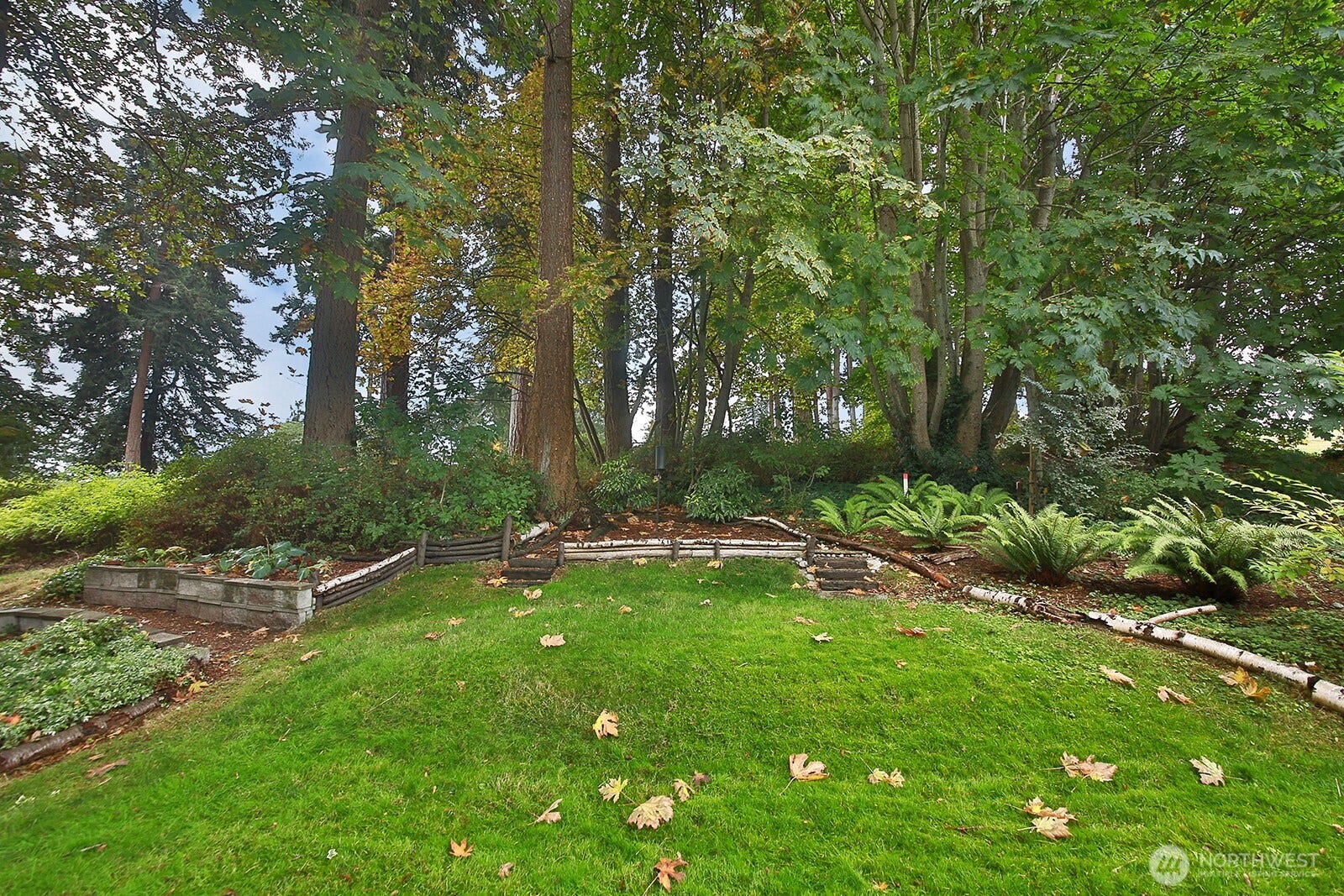 2496 Discovery Place, Langley, WA 98260 Trails wind up to the 6th tee. Lots of bird activity.