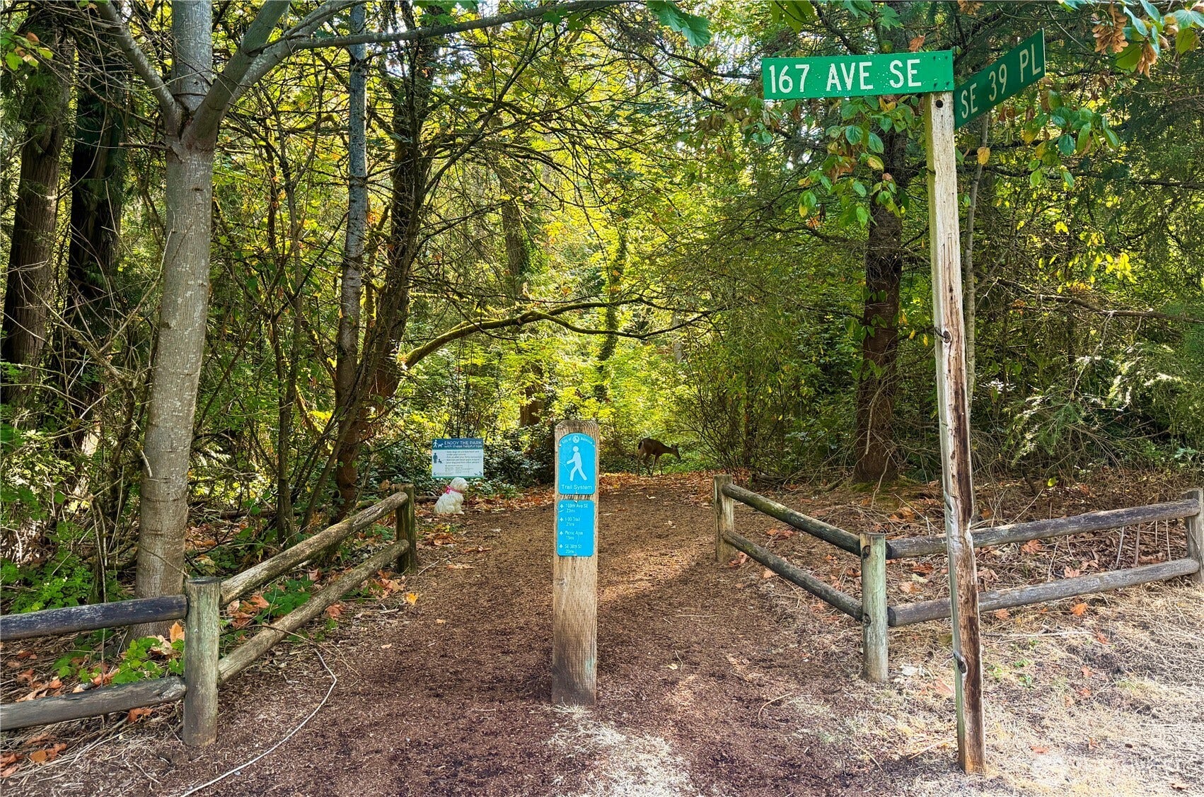 3849 166th Avenue SE, Bellevue, WA 98008